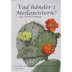 Vad händer i mellanöstern?...