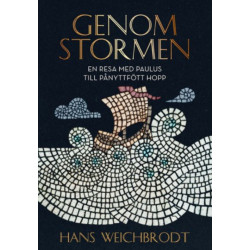 Genom Stormen - Hans...