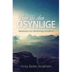 Vem är den osynlige - Anita...