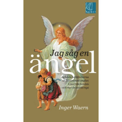 Jag såg en ängel - Inger Waern